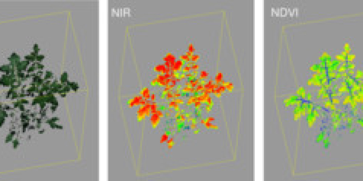 Plant Phenotyping Market Growth: USD 497.4 Million Target by 2033