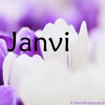 Janvi Singh profile picture
