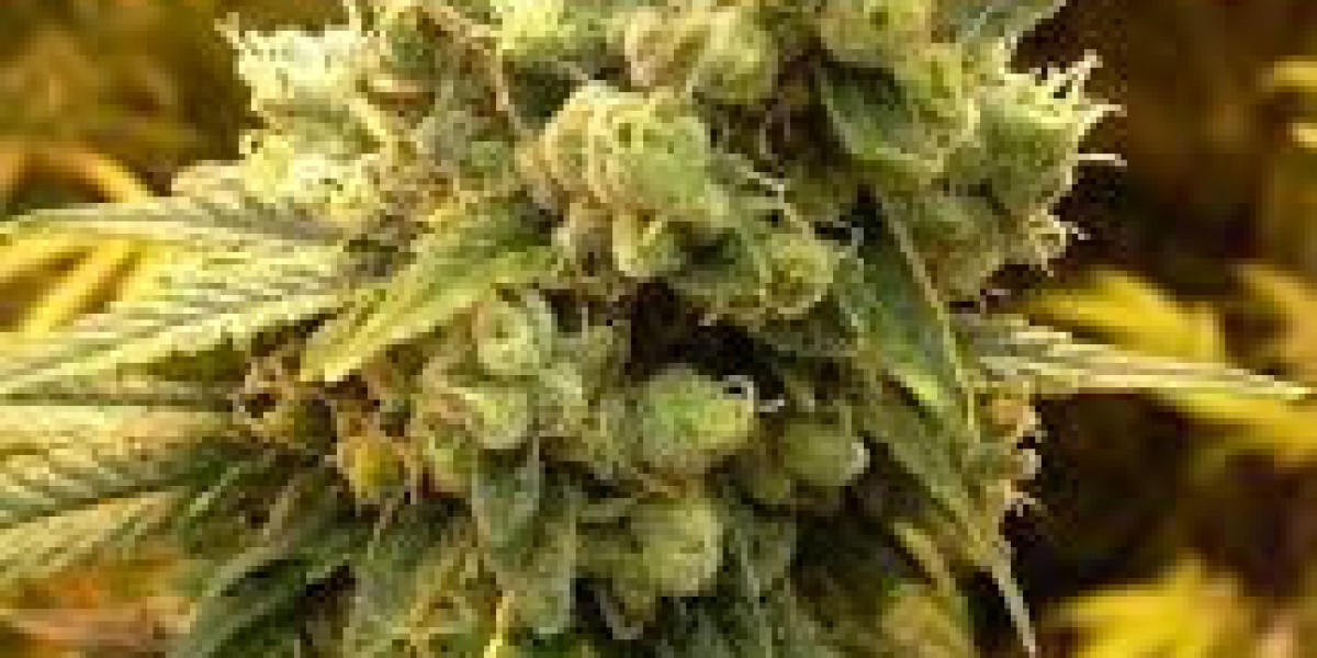 Sour Diesel Market Size, In-depth Analysis Report and Global Forecast