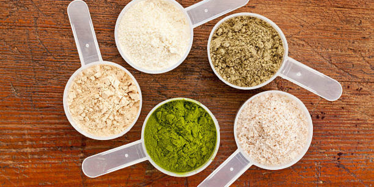 North American Protein Supplements Market Size, Share, Growth Statistics, Forecast 2030