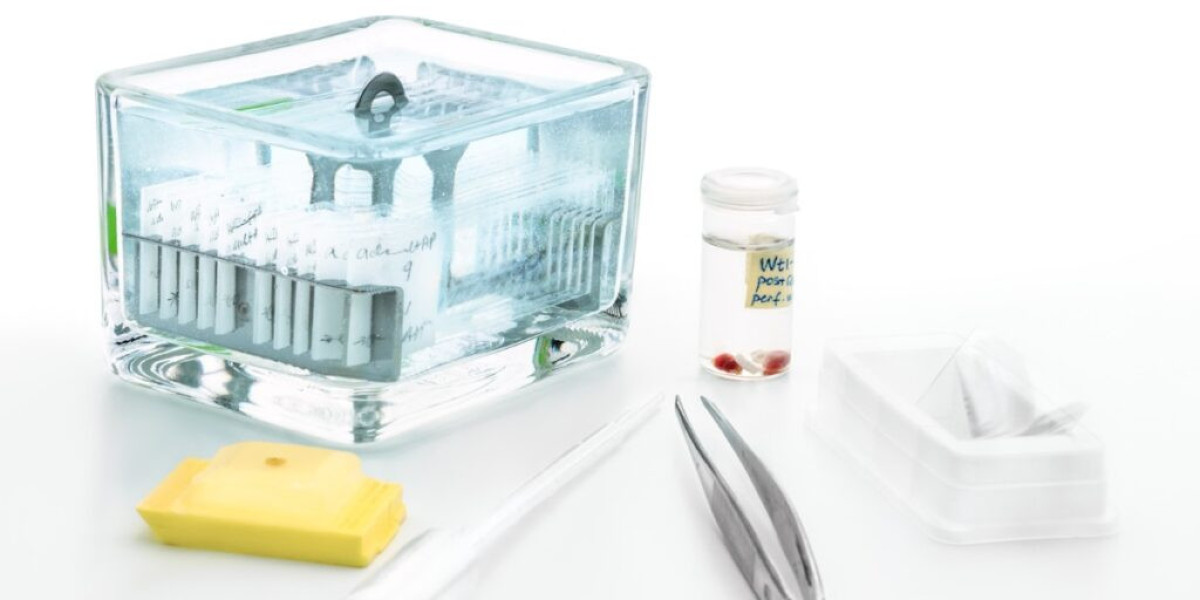 Tissue Fixation Market Size, In-depth Analysis and Global Forecast Report