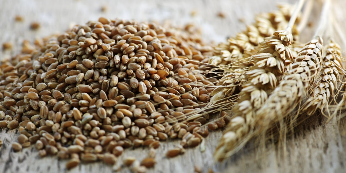 Rye Market 2023-2032 | Global Industry Research Report By Value Market Research