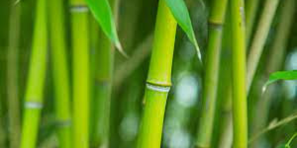 Bamboo Fiber Market Analysis, Size, Share, Growth, Trends, Forecast