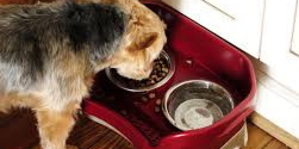 The Ultimate Guide to Dog Bowls: Choosing the Best for Your Furry Friend
