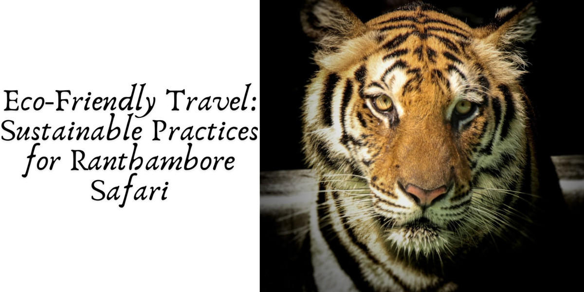 Eco-Friendly Travel: Sustainable Practices for Ranthambore Safari