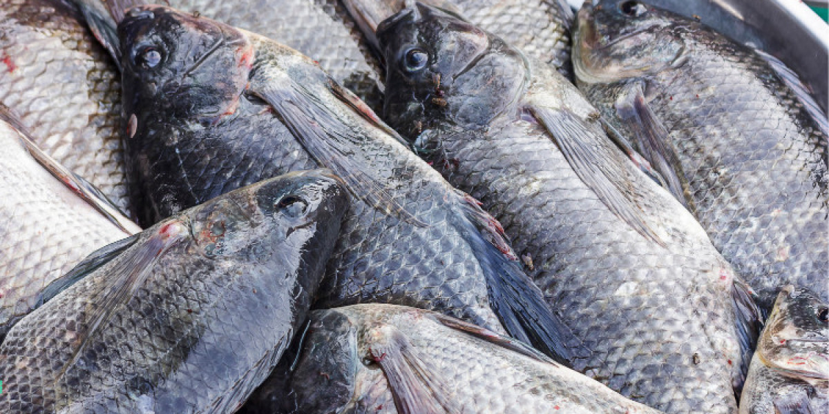 Global Tilapia Market Analysis Forecast 2024- 2030