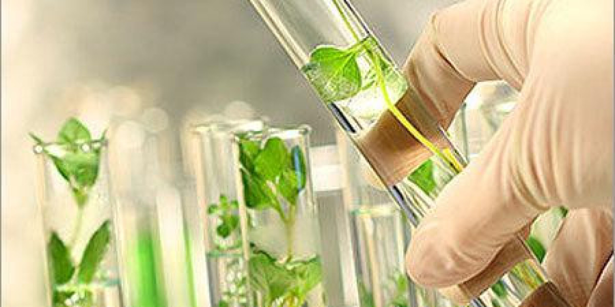 Hydroglycolic Extract Market Size, Growth & Industry Analysis Report, 2023-2032
