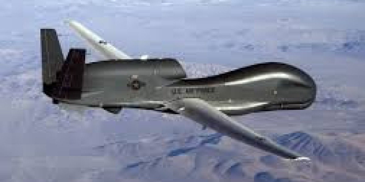Europe Military Drone Market Segment Dynamics (2024-2032)