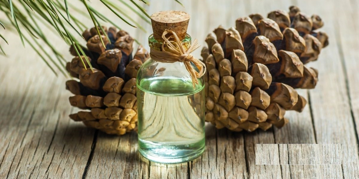 Gum Turpentine Oil Market 2023 Size, Dynamics & Forecast Report to 2032
