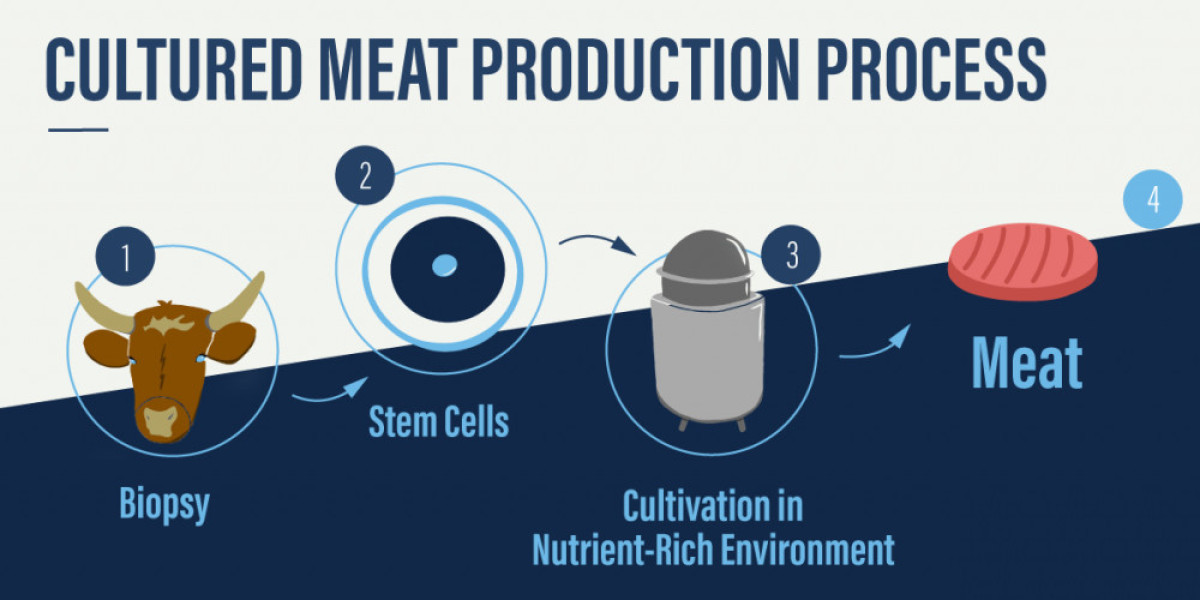 Cultured Meat Market Size, Share, Growth | CAGR of 97.89%