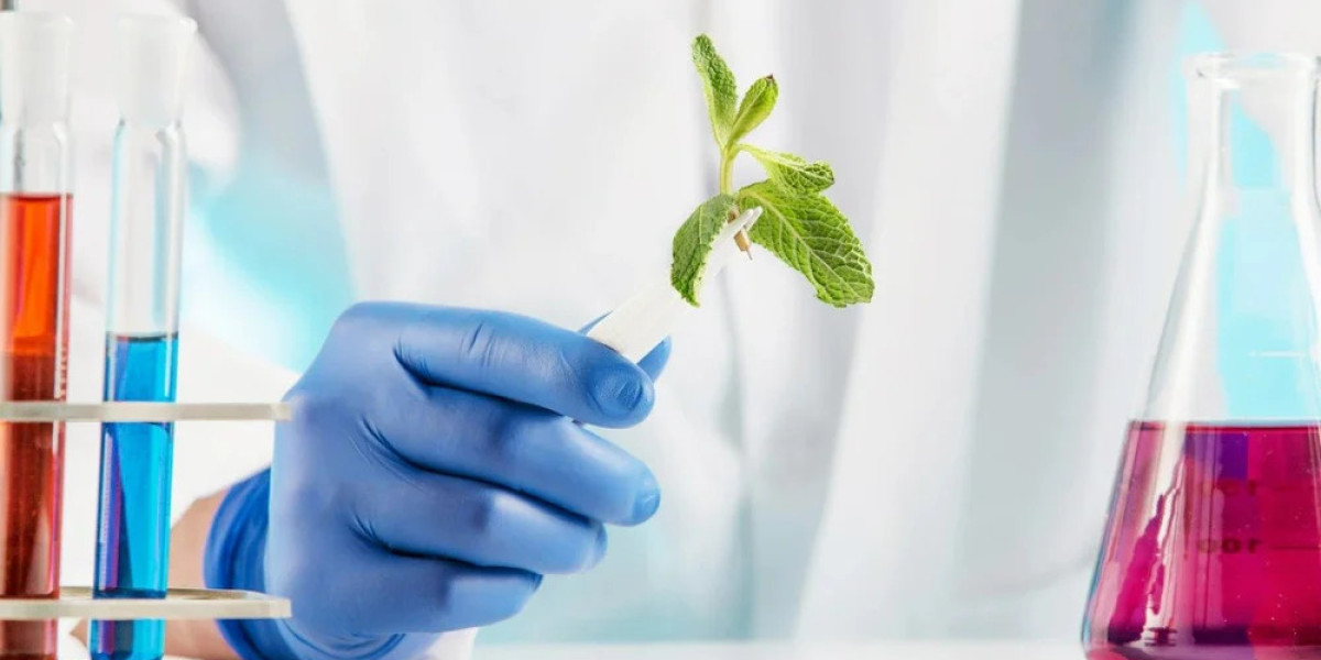 Ammonium Bisulfite Market 2023: Global Forecast to 2032