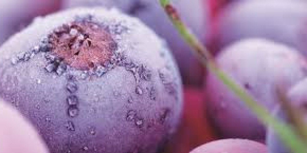 Global Functional Extract Market Report, Latest Trends, Industry Opportunity & Forecast