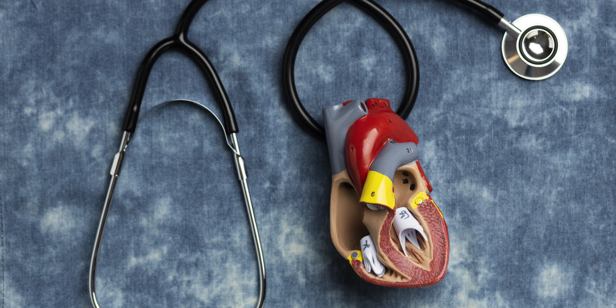 South Korea Cardiovascular Devices Market Size Share Report 2024-2032