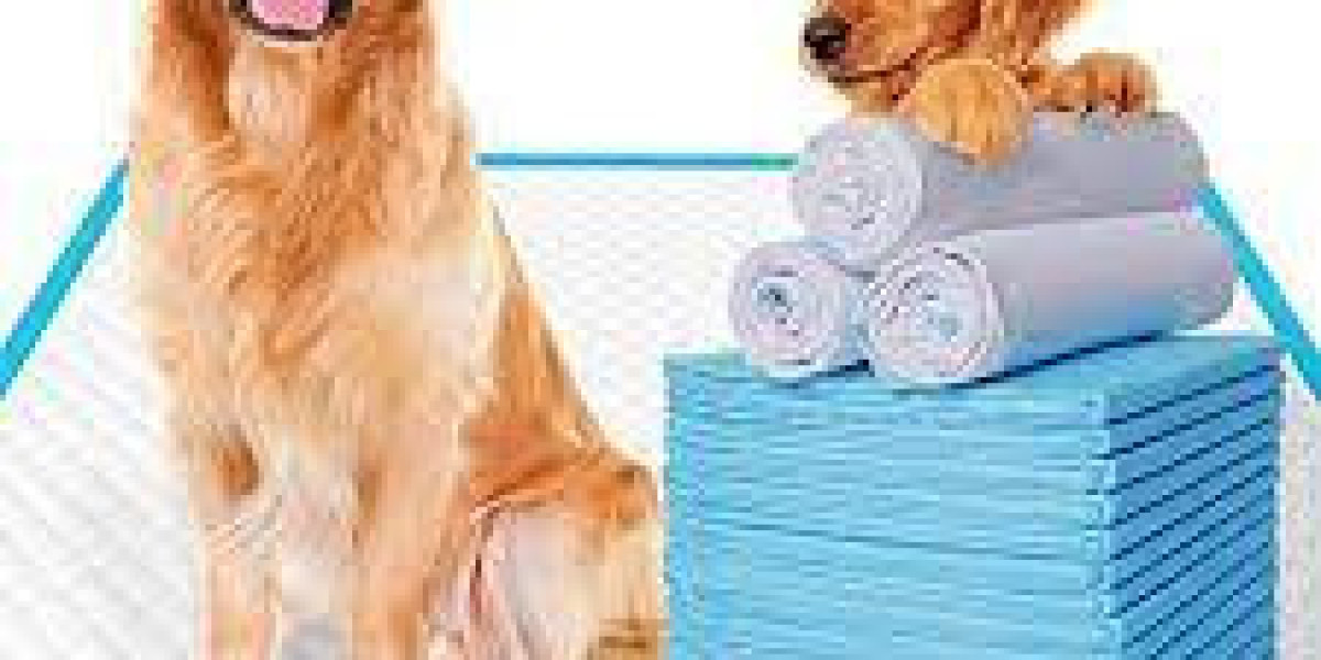 Super Absorbent Pet Pad Market Trends, Share & Forecast Report