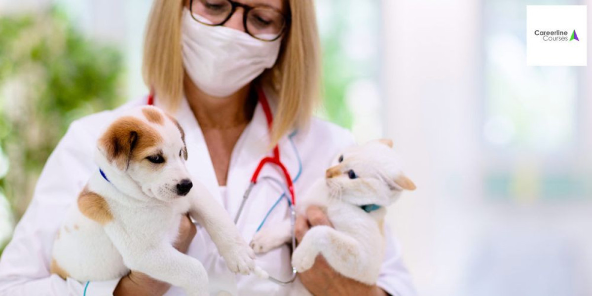 Practical Tips for Training in an Animal Care Course