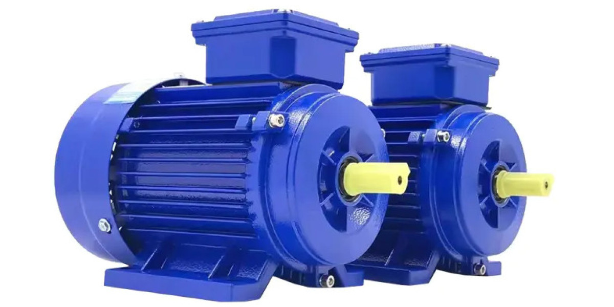 Advancements in Permanently Excited Synchronous Motors