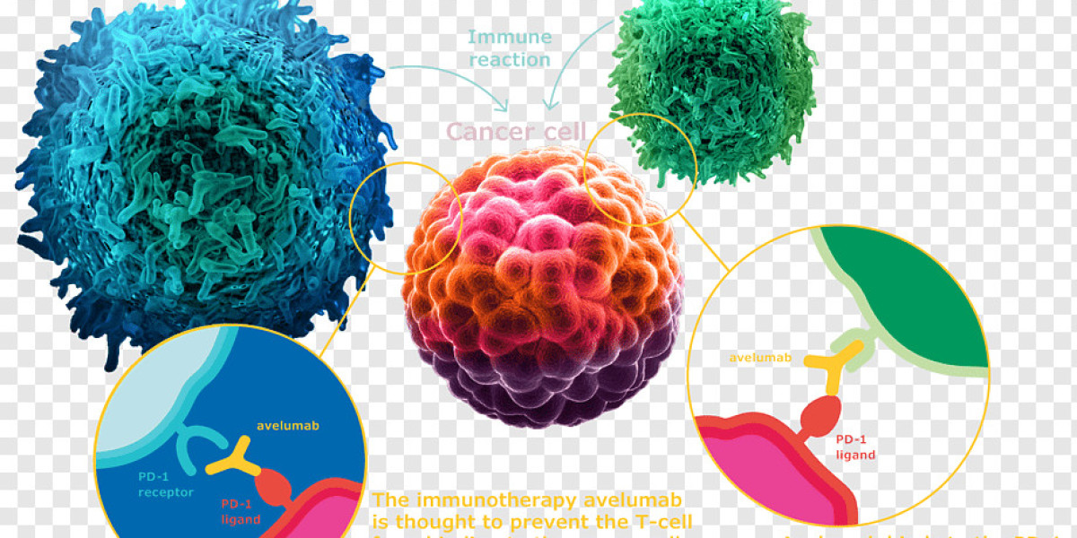 Avelumab Market Growth and Status Explored in a New Research Report 2034