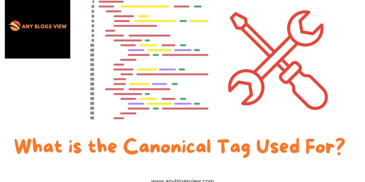Know About What is Duplicate Without User-Selected Canonical Tags in SEO?