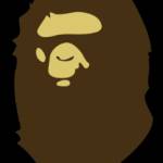 admin admin Profile Picture