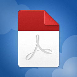 Wilderness Thrills: Backwoods Airboat Adventures