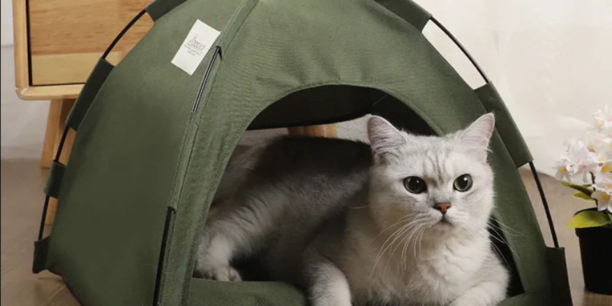 Finding the Perfect Shelter: Comparing Pet Houses and Pet Tents