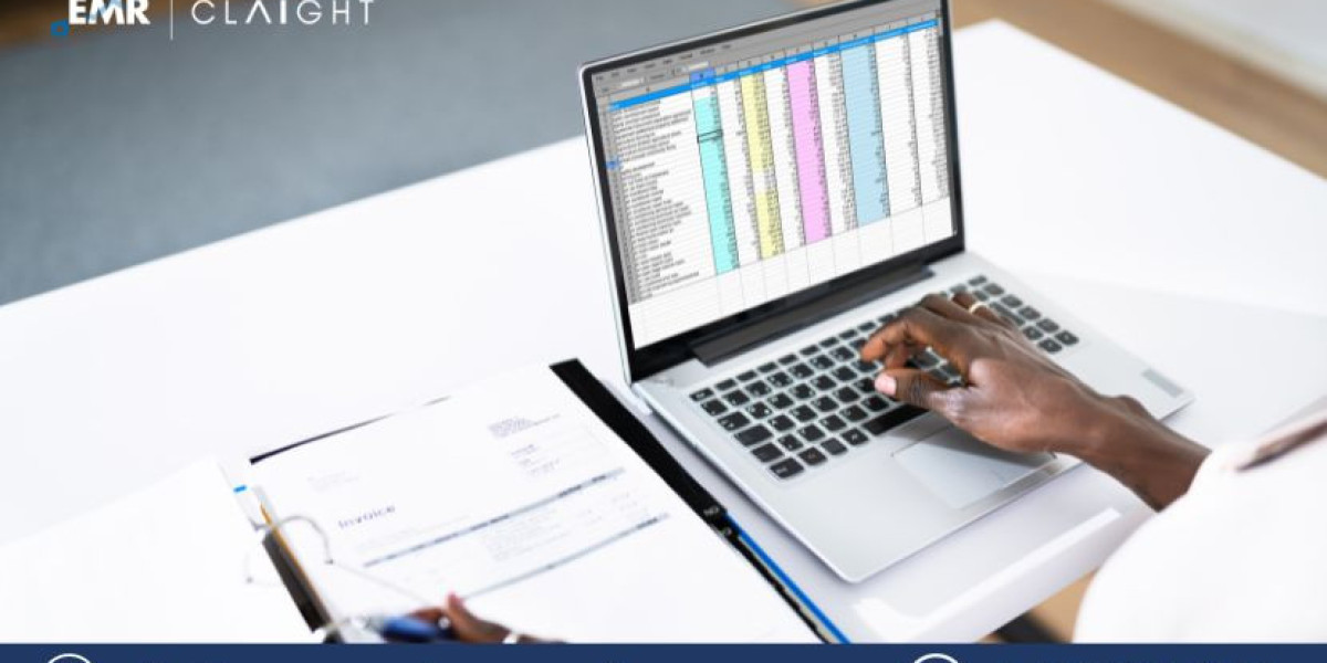 Audit Software Market Share, Size, Trends and Forecast 2024-2032