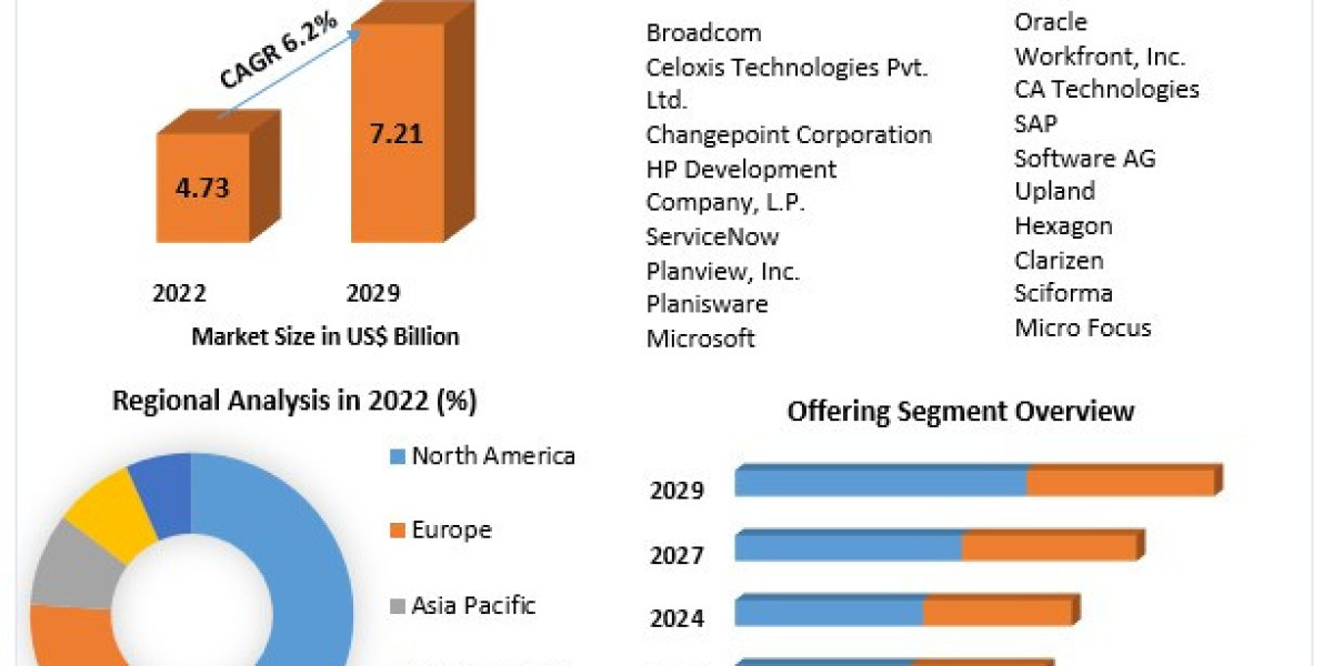Project Portfolio Management Market Investment Opportunities, Future Trends, Business Demand and Growth Forecast 2029