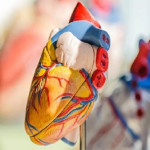 hhscsg Profile Picture