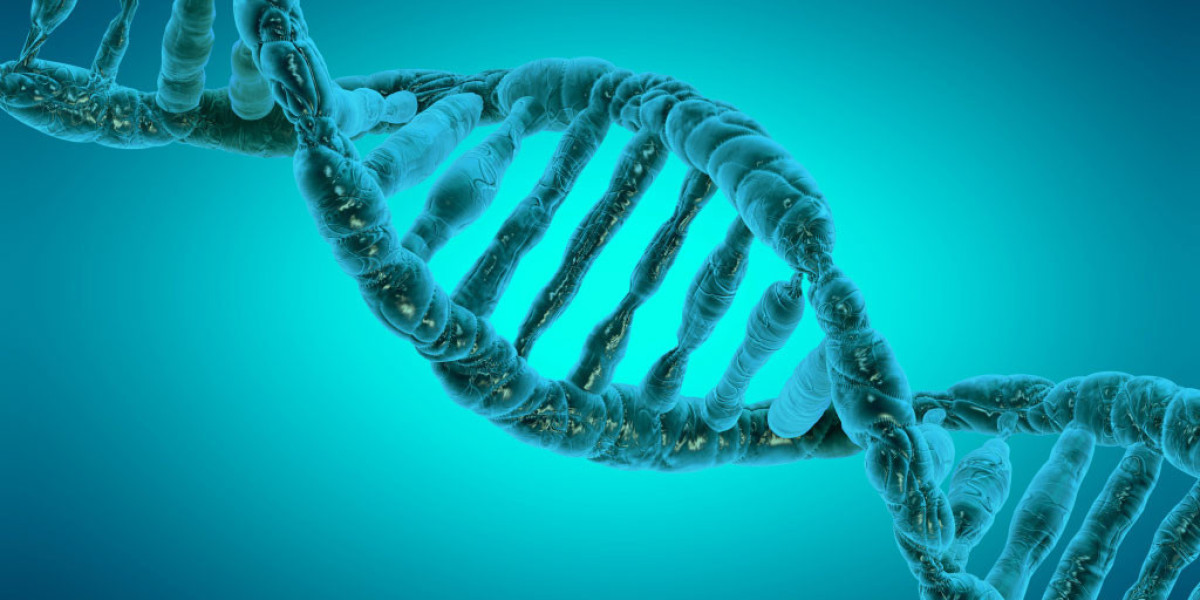 Epigenetics Market 2023-2032 | Global Industry Research Report By Value Market Research