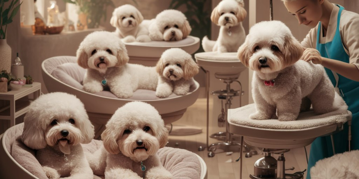 How to Choose the Best Dog Spa