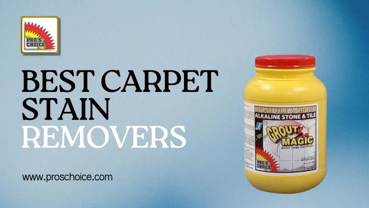 PPT - Best Carpet Stain Removers by Pro's Choise PowerPoint Presentation - ID:13389100