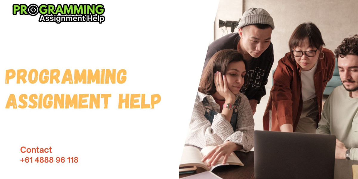 Get Professional Help with Programming Assignment Help: The Best Assignment Website