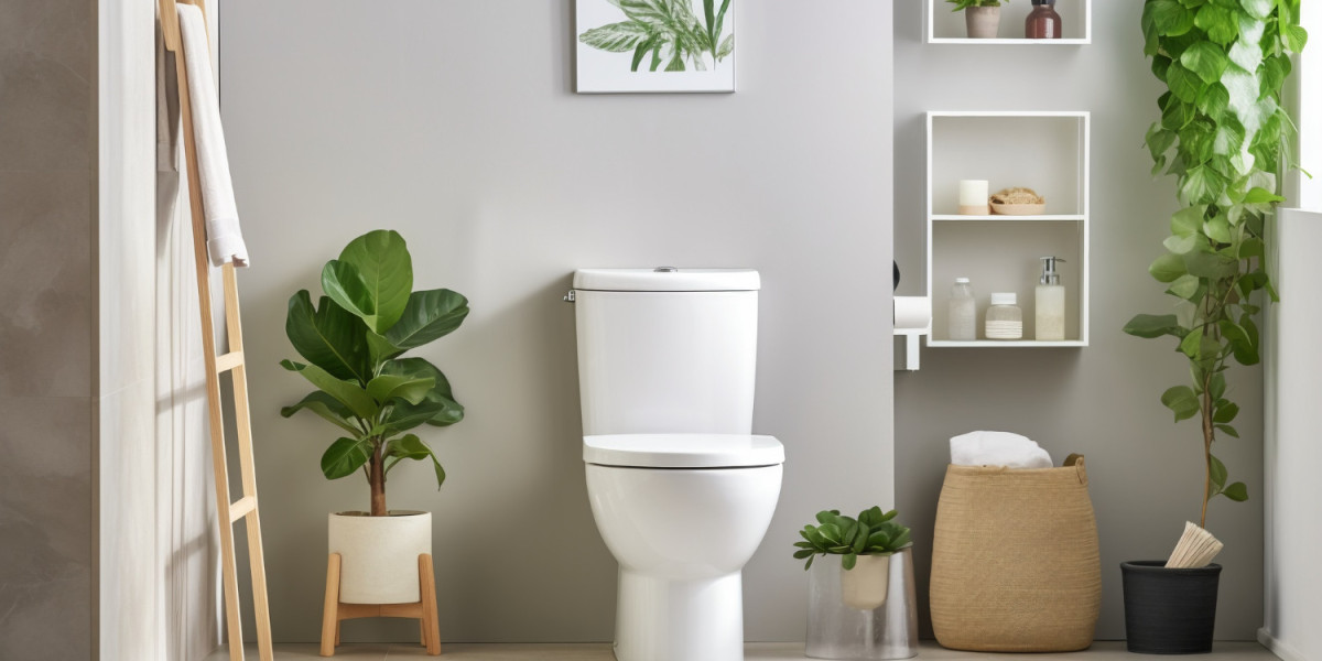 Sanitary Ware Market Size Share Growth and Trends Value Forecast 2024-2031