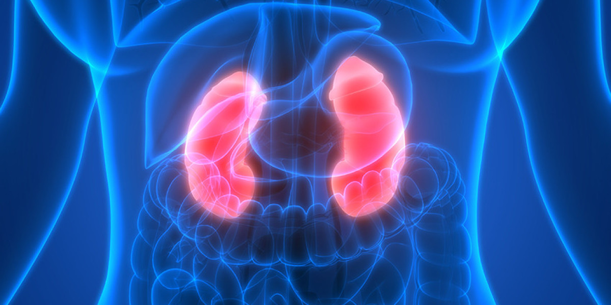 Renal Biomarkers Market Outlook (2024-2031)