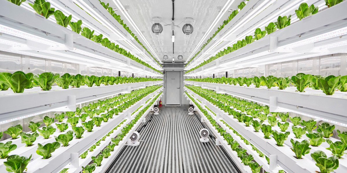 Vertical Farming Market Growth, Size, Share, Trends and Forecast by 2031