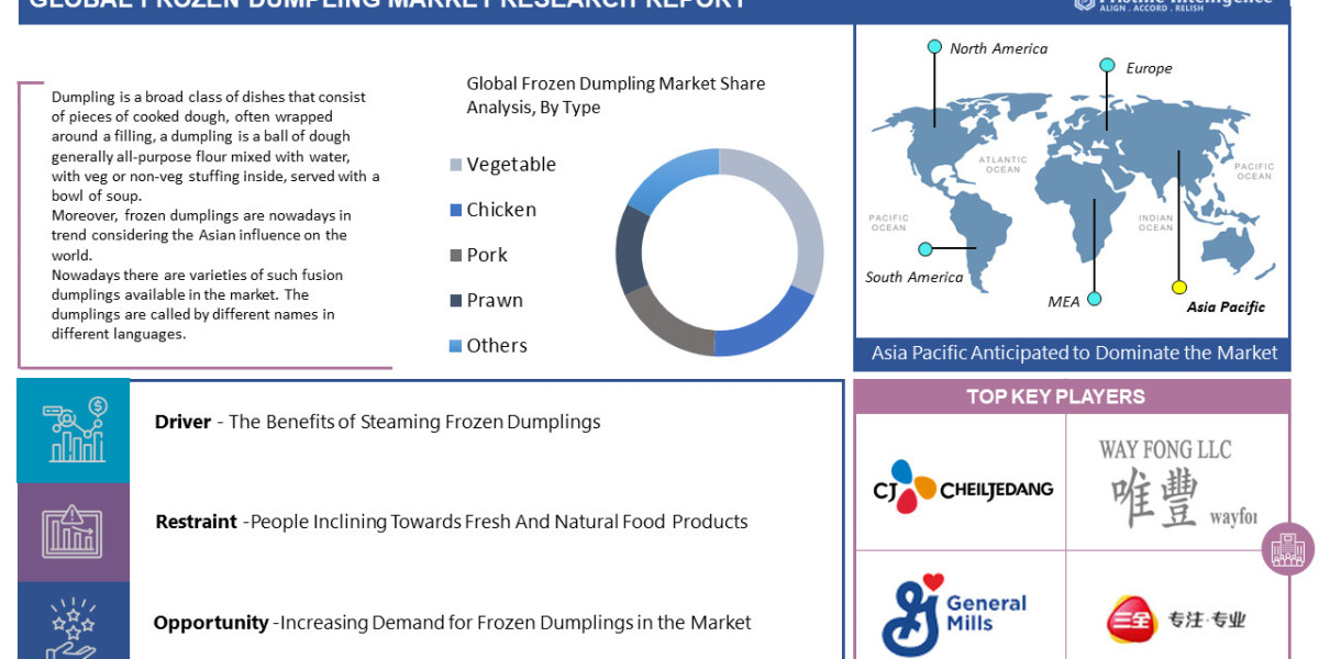 Frozen Dumplings Market Set to Reach US$ 3.9 Billion by 2028, Reflecting a CAGR of 5.7%