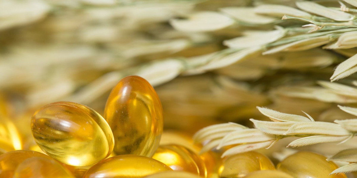 Comprehensive Guide to Lecithin & Phospholipids Market