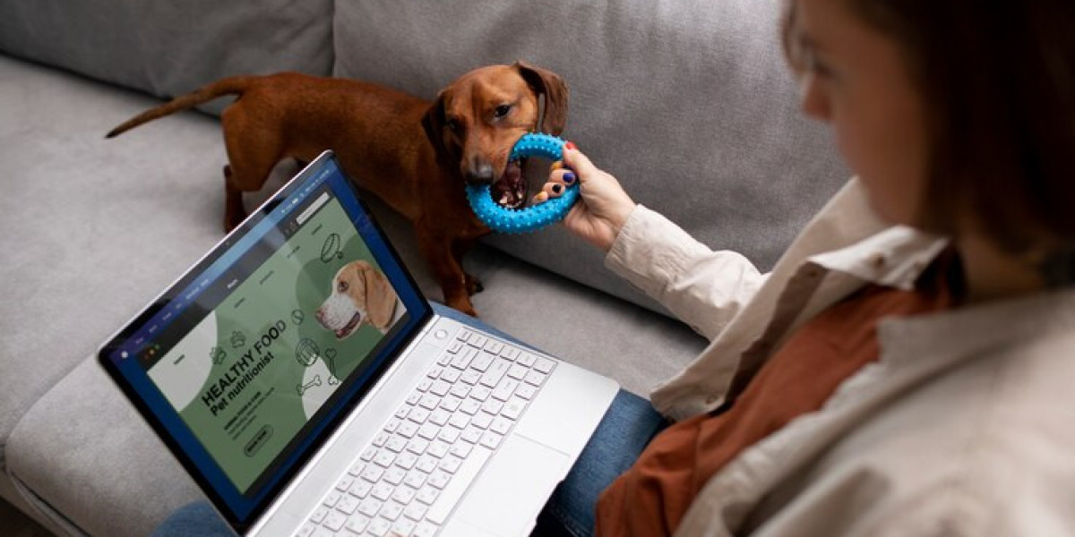 Can Your Phone Be a Pet Doc? Exploring Online Vets