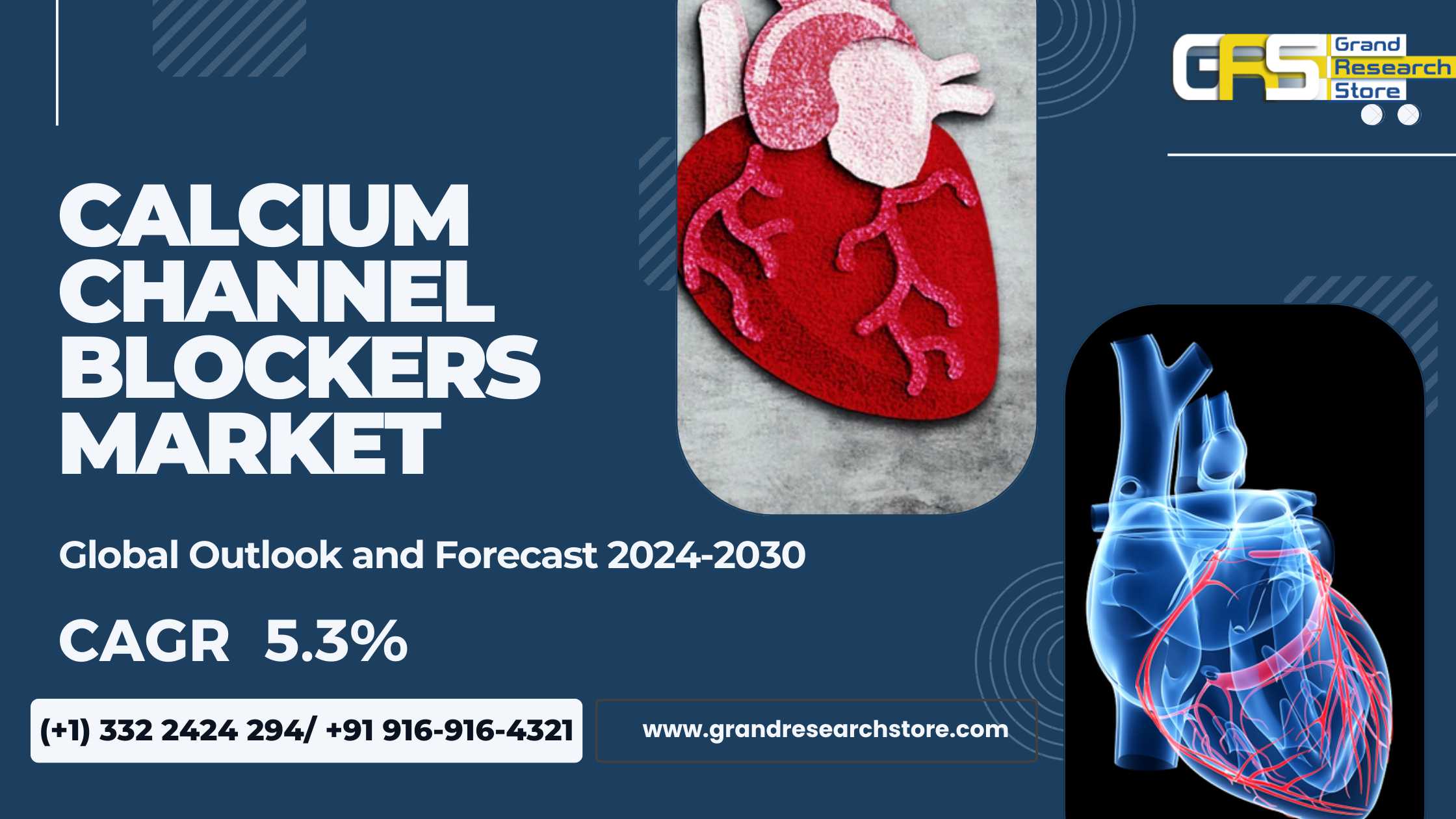 Calcium Channel Blockers Market 2024-2030 Global b..