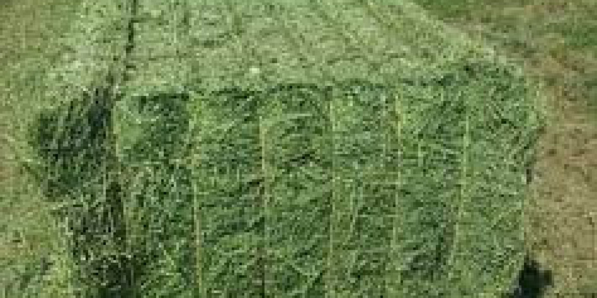 Alfalfa Hay Market Size, Growth & Global Forecast Report to 2032