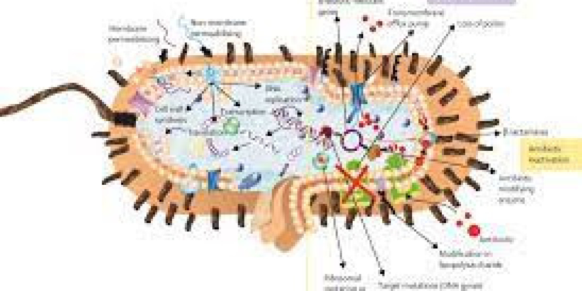 Global Antimicrobial Peptides Market Report with Analysis of COVID-19 Impact