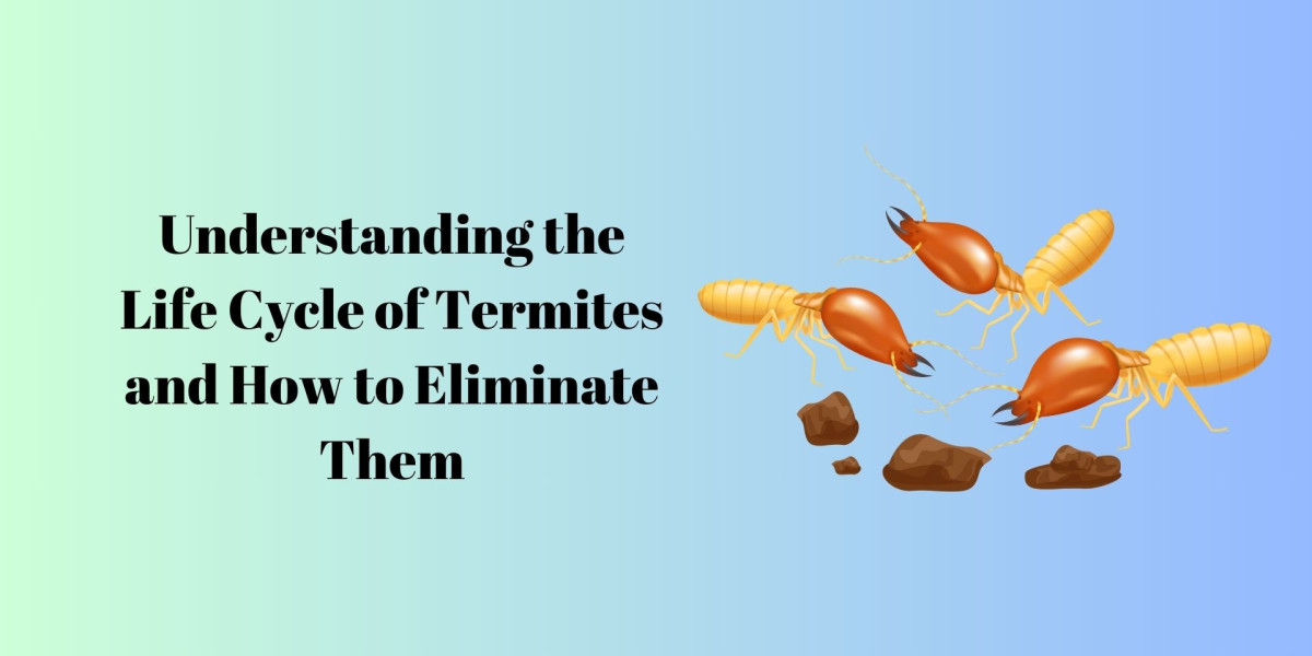 Understanding the Life Cycle of Termites and How to Eliminate Them