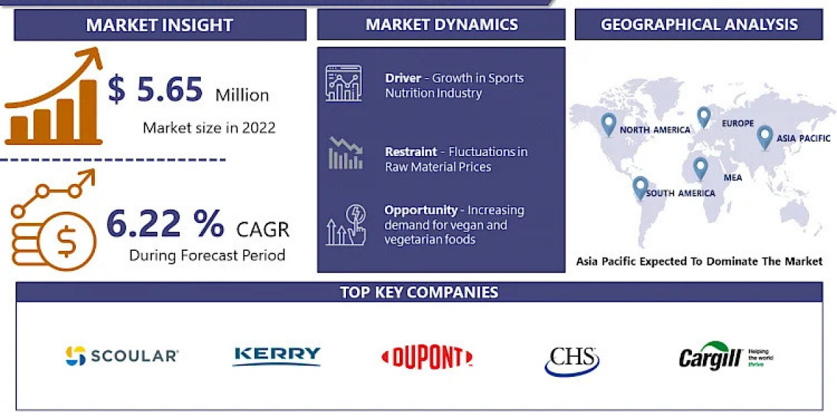 Plant Protein Ingredients Market Booming Worldwide with Latest Trend and Future Scope by 2032 | IMR