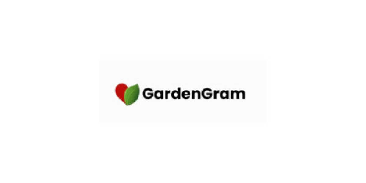 Chinese Money Plant -  GardenGram
