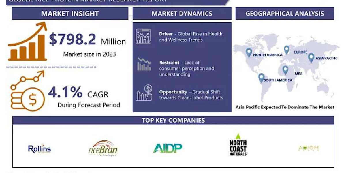 Tectonic Innovation To Drive The Rice Protein Market,2024-2032