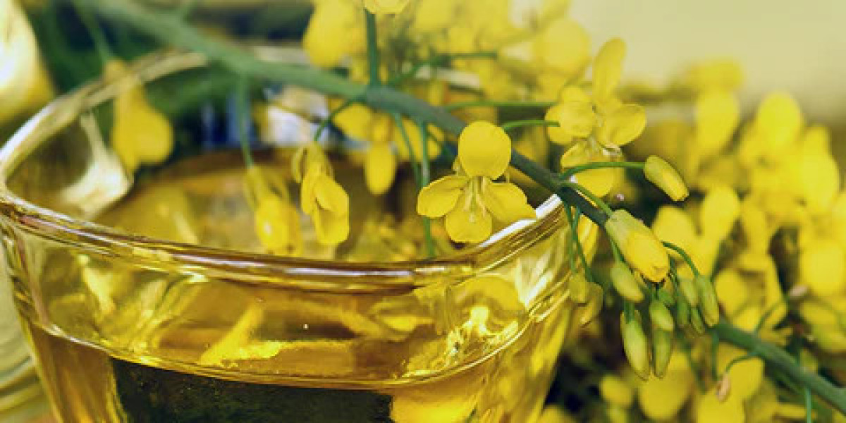 Non-Gmo Oil Market Report: Latest Industry Outlook & Current Trends 2023 to 2032