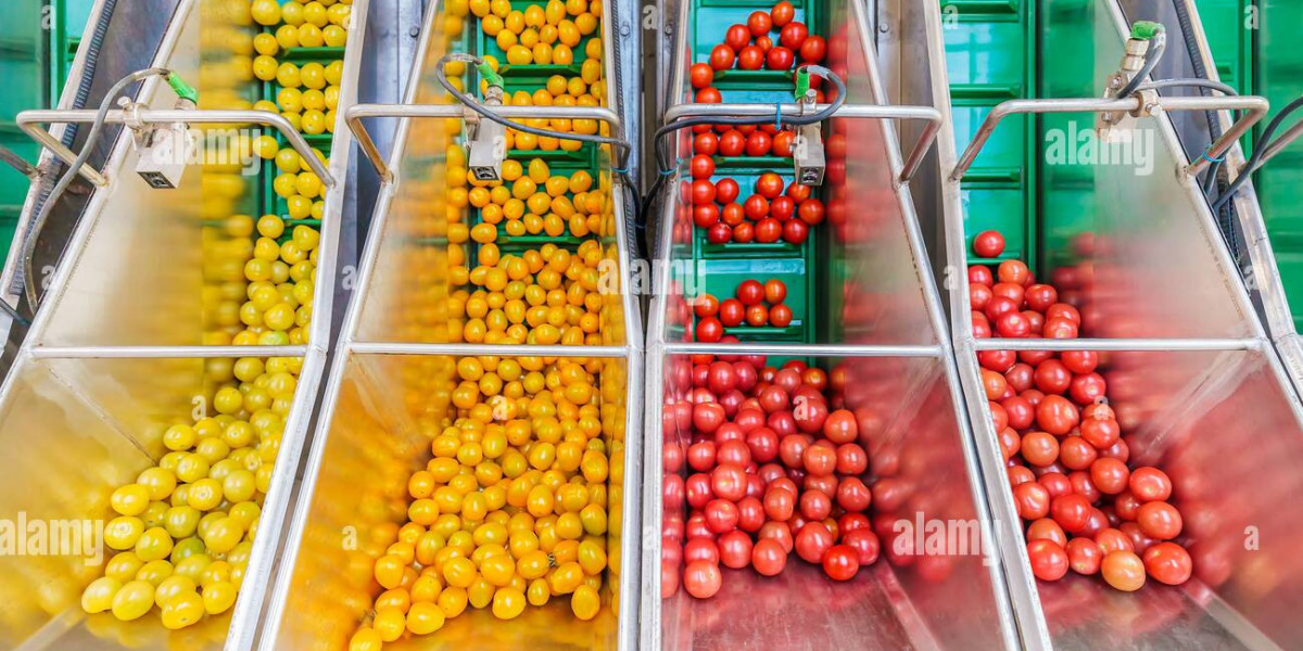 Tomato Sorting Machine Market Report: Latest Industry Outlook & Current Trends 2023 to 2032