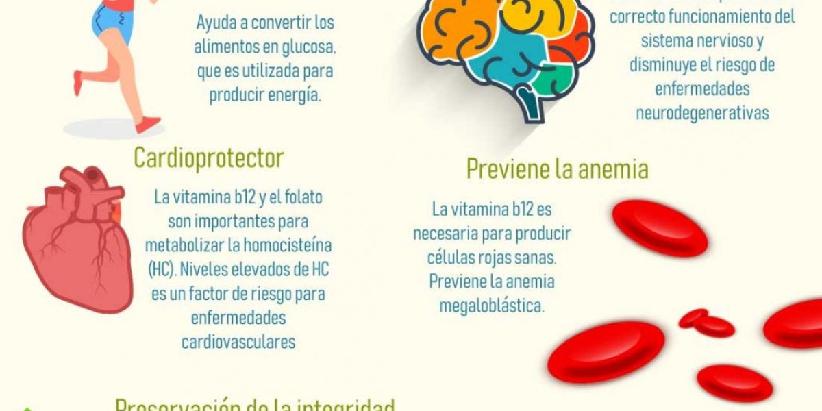 El papel crucial de la vitamina B12 en la salud y apariencia de tu piel