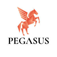 Pegasus Funding Profile Picture