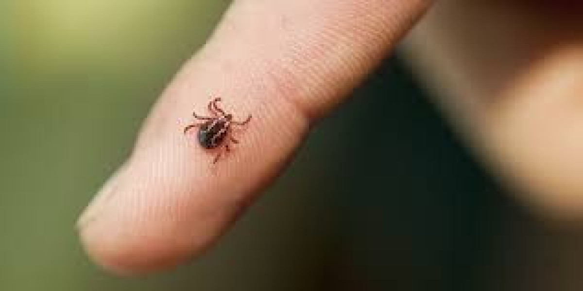 Global Tick Repellent Market: Detailed Analysis by Latest Trends, Demand and Forecast Report to 2032